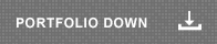 portfolio download