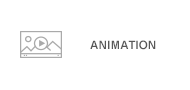 company introduction